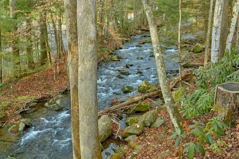 Property image, Interior, of Talking Waters
