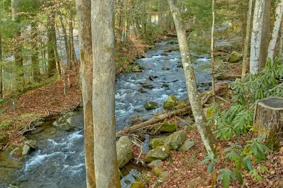 Property image, Interior, of Talking Waters