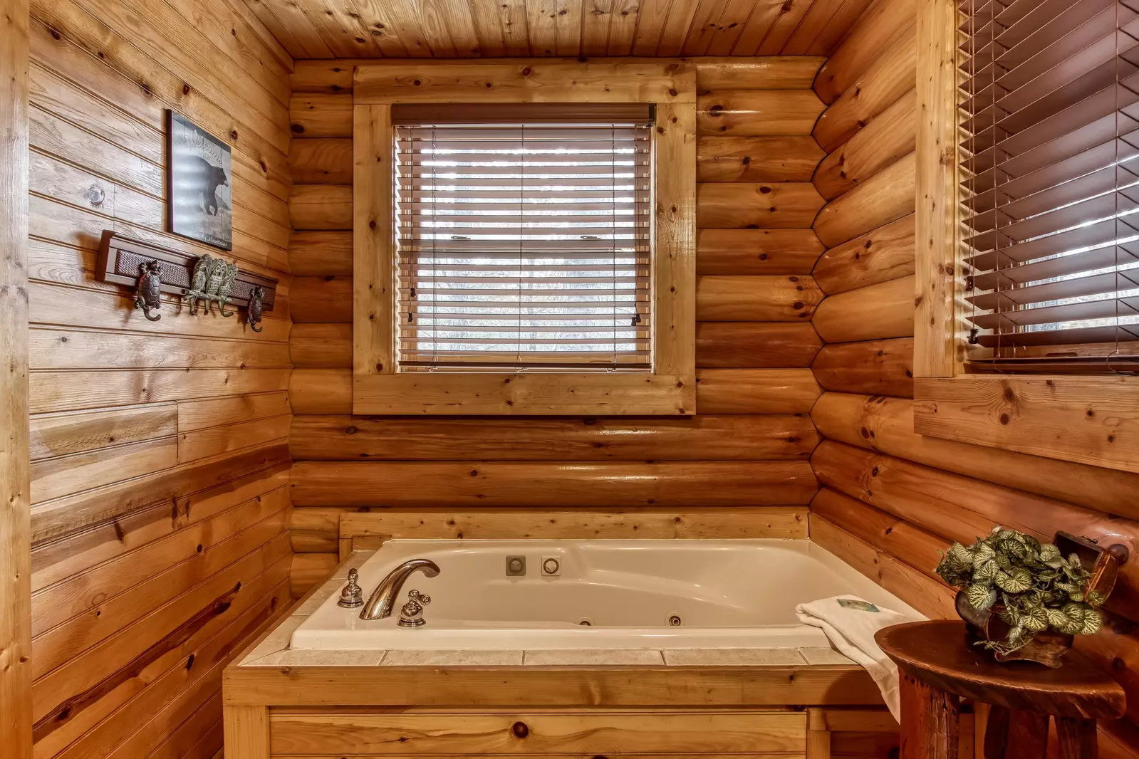Property image, Interior, of Natural Beauty