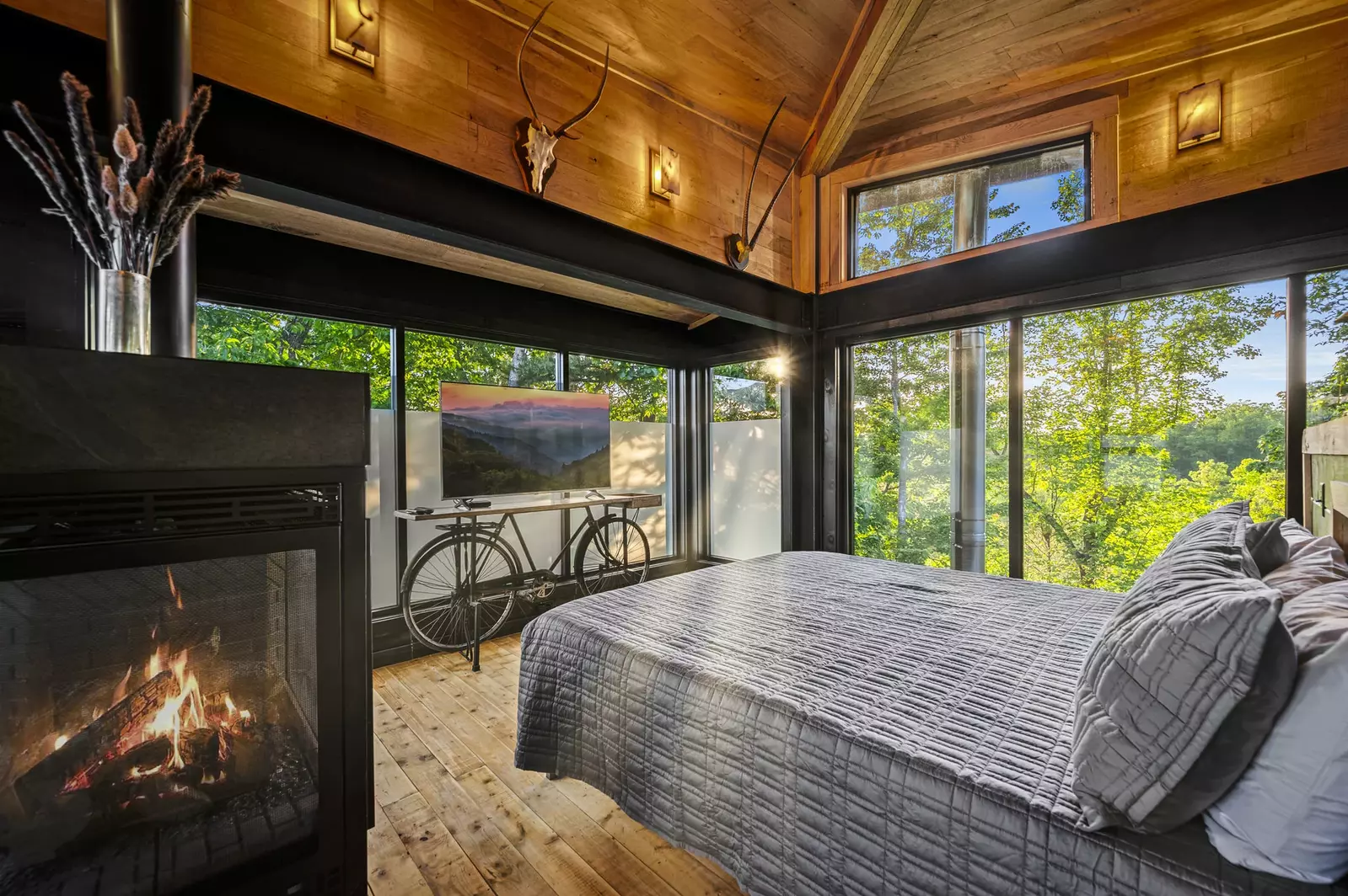 Property image, Interior, of Rhinestone Cowboy