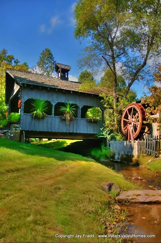 Property image, Interior, of Cedar Hawk Springs