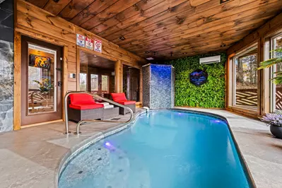 Luxe Alpine Summit Pool and Spa Cabin