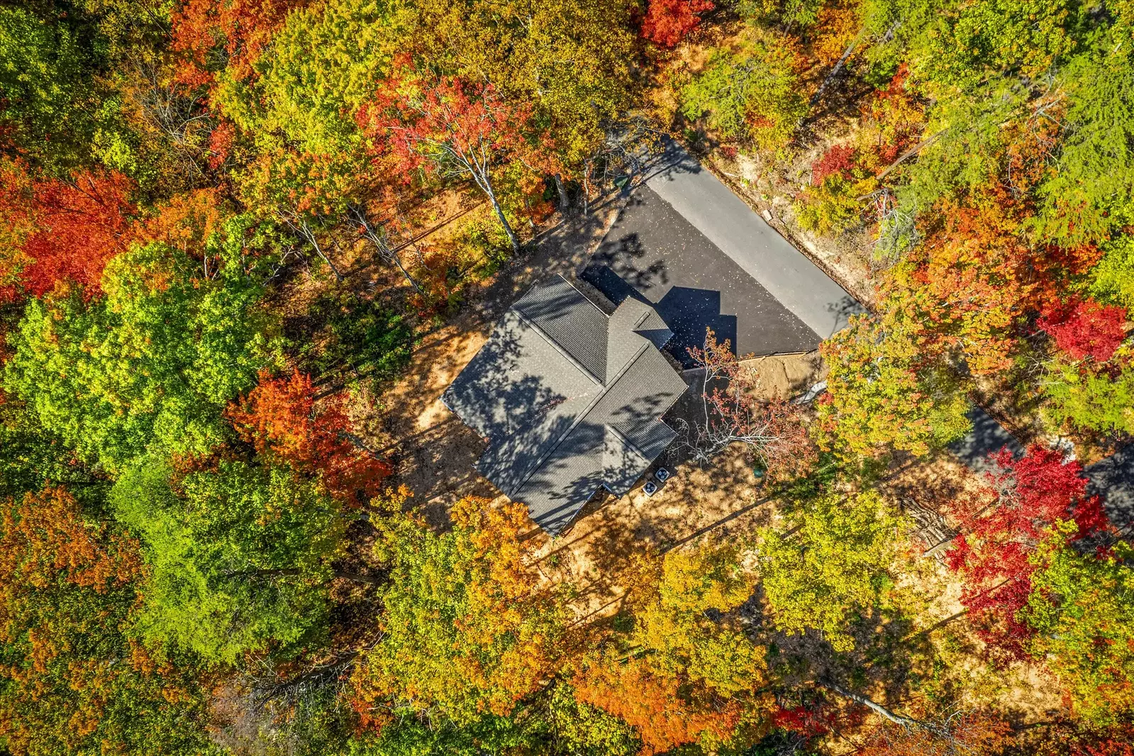 Property image, Interior, of Treehouse Swim Cabin