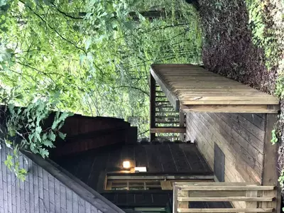 Gatlinburg Adventure Cabins - Golden Glow