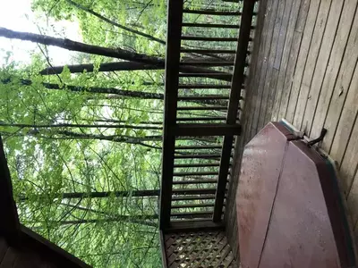 Gatlinburg Adventure Cabins - Golden Glow