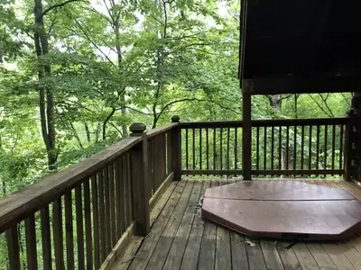 Gatlinburg Adventure Cabins - Pine Needle