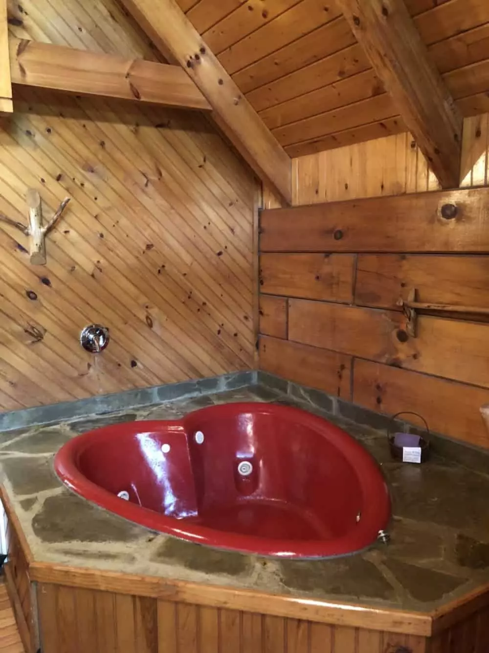 Gatlinburg Adventure Cabins - Forget Me Not