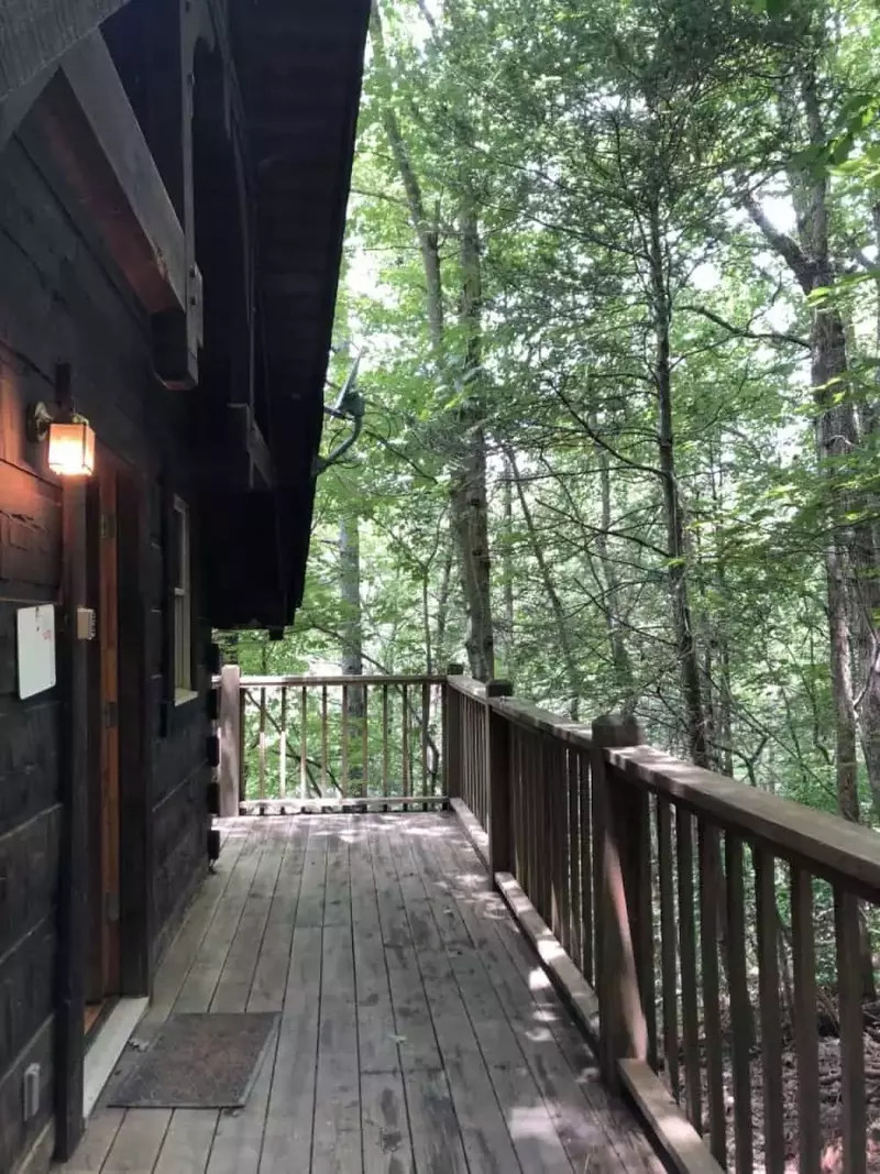 Gatlinburg Adventure Cabins - Forget Me Not