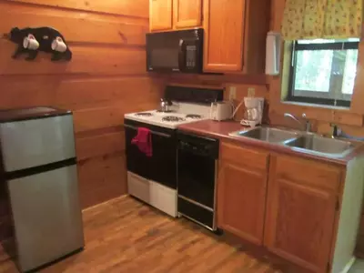 Misty Falls cabin