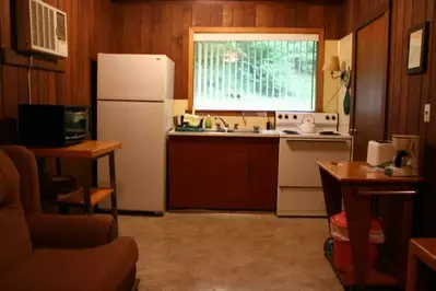 Flat Branch Cottage #3