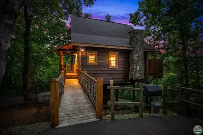 Hazy Bear Treehouse #3