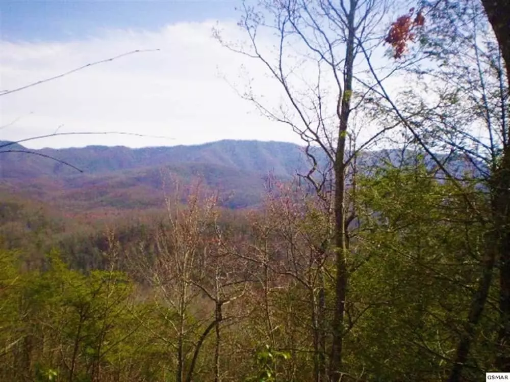 The Pine Knot Cabin