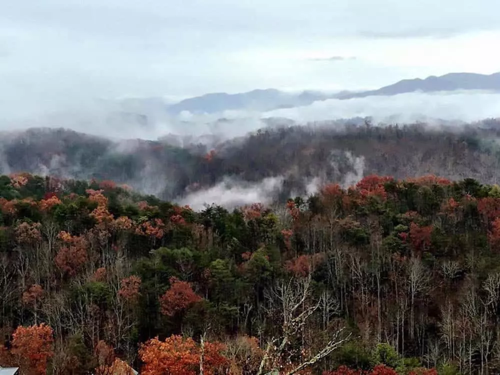Mountain Wonder