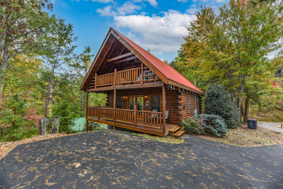 Black Bear Loft