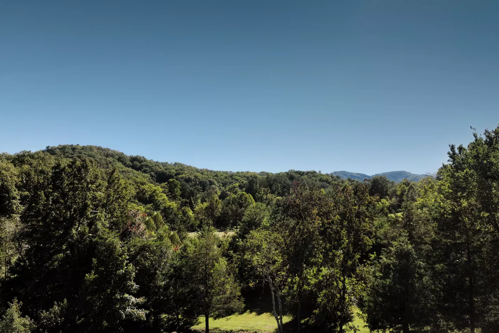 Moonlight Ridge