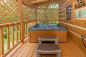 Yoli Bear Hideaway