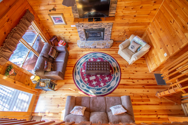 Clumsy Cub Cabin
