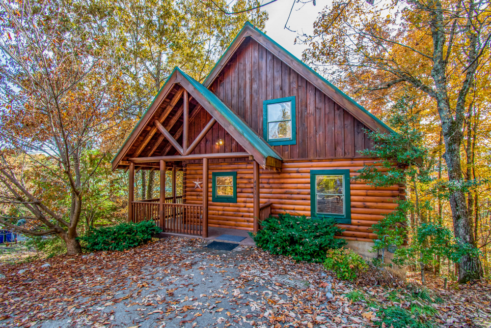 Clumsy Cub Cabin