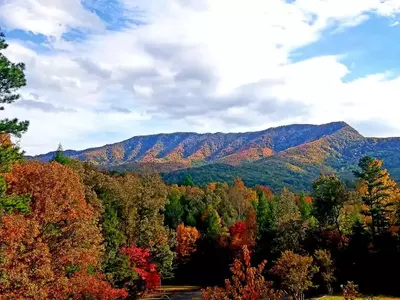 Wafloy's Steiner-Bell Lodge  |  Sleeps 126 (32 Private Rooms)