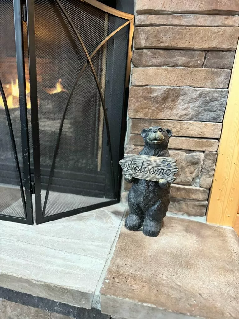 Gas fireplace