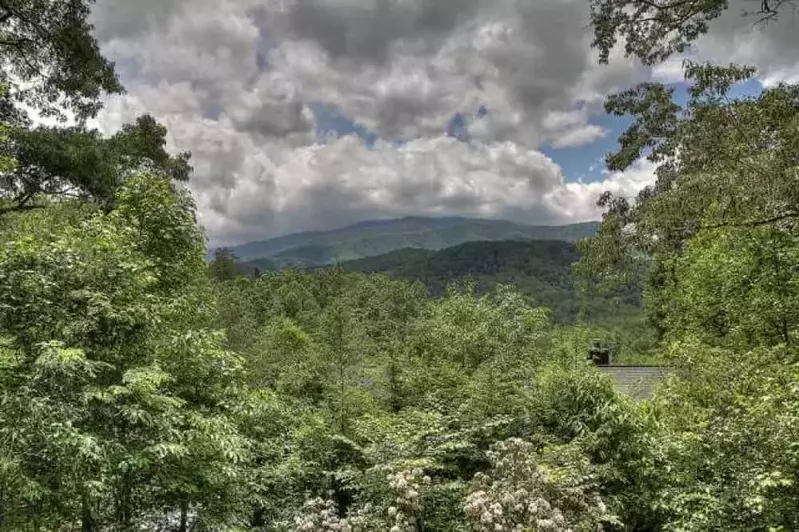Mountain Magic