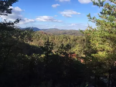 Lucky Bears Cabin