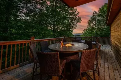 Bearadise Cabin 1