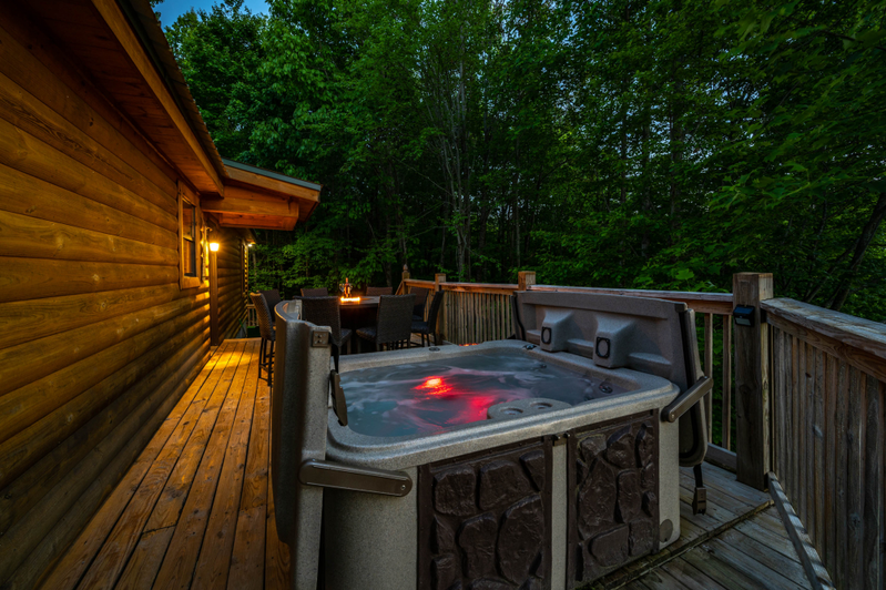 Bearadise Cabin 1