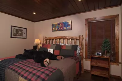 Beary Cozy