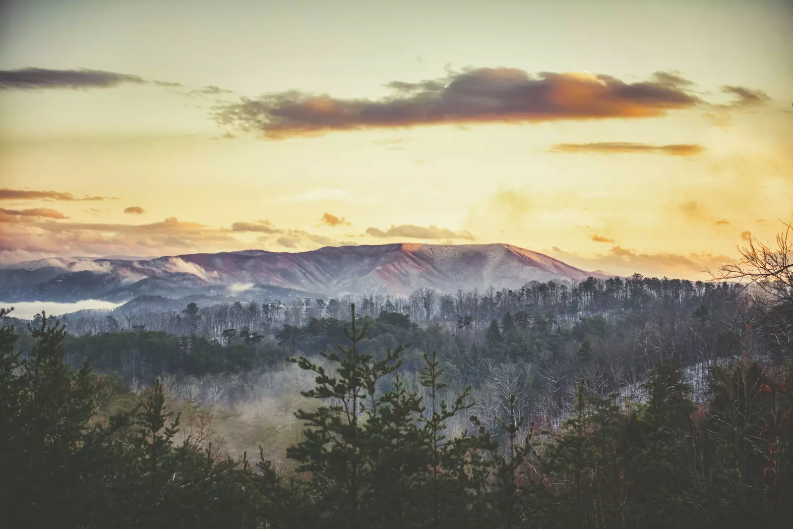 Bear Bluff