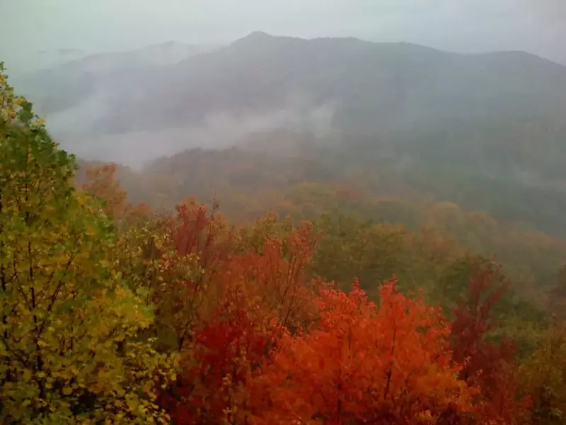 A Beautiful View