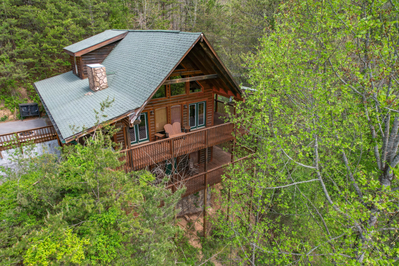 A Bear's Haven