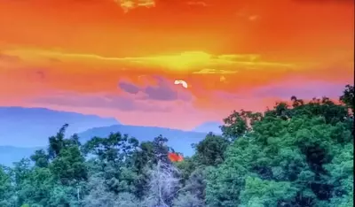 Pure Mountain Pleasure