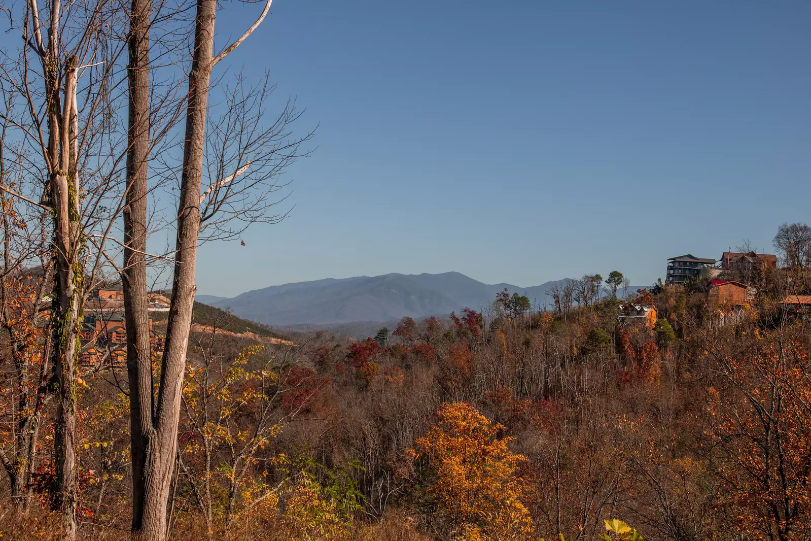 Actual View from Deck
