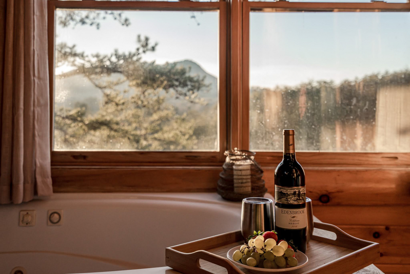 Bear Haven Vista Retreat