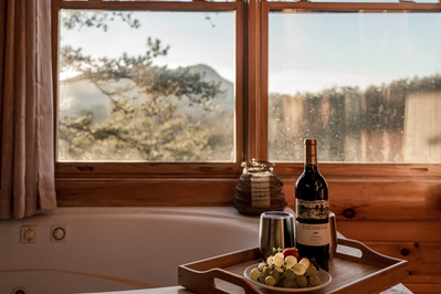 Bear Haven Vista Retreat