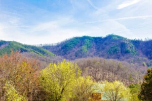 Smoky Bear Lodge