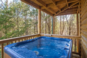 Smoky Bear Lodge