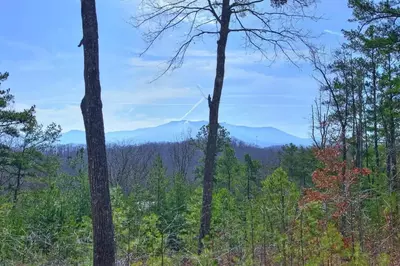 Fox Hollow Lodge