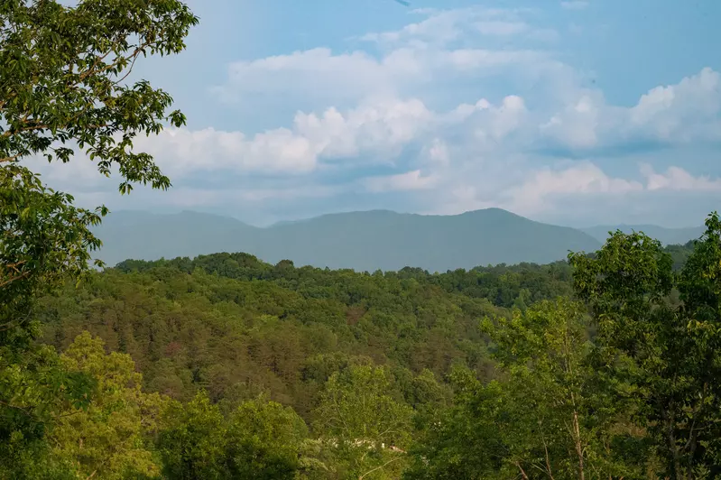 View from Deck