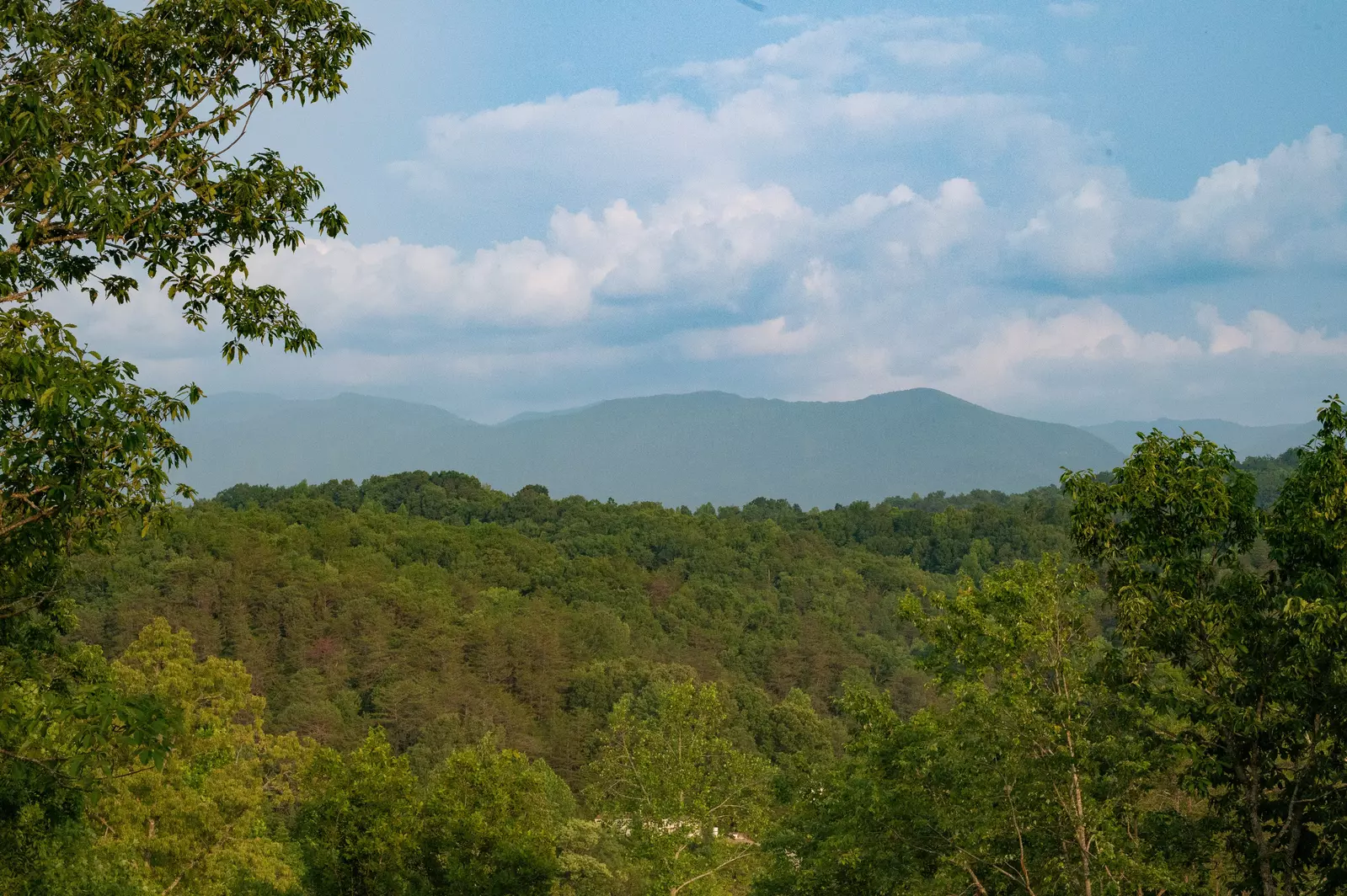 View from Deck