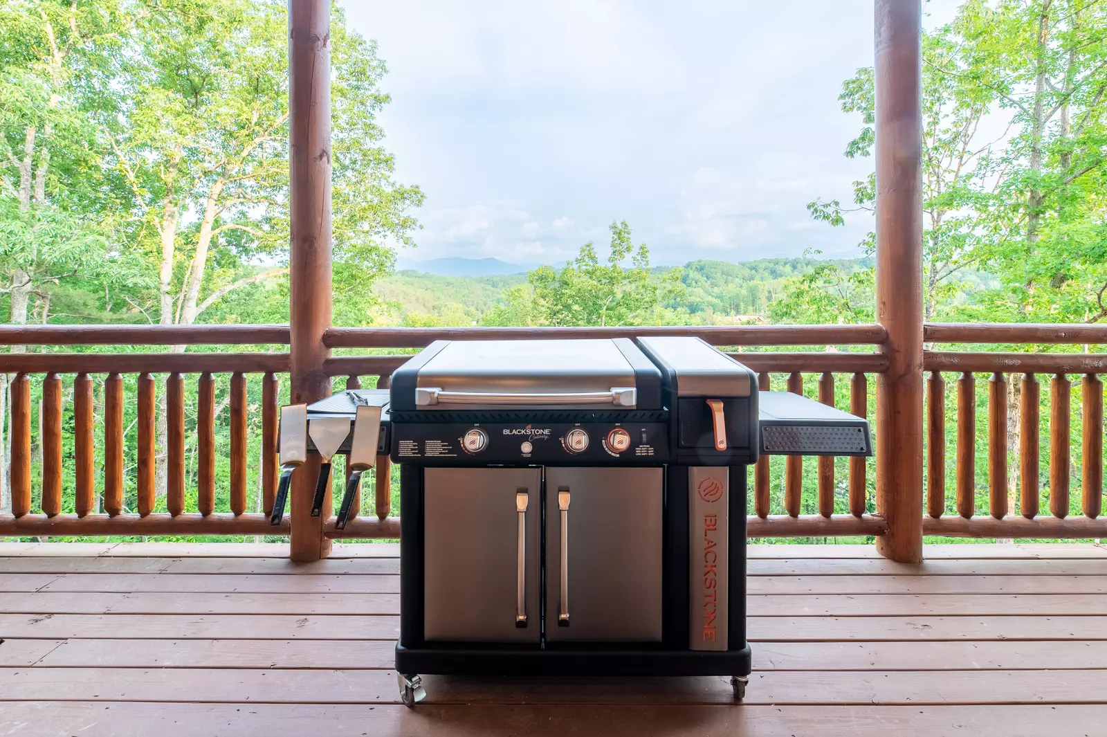 Blackstone Grill/Airfryer