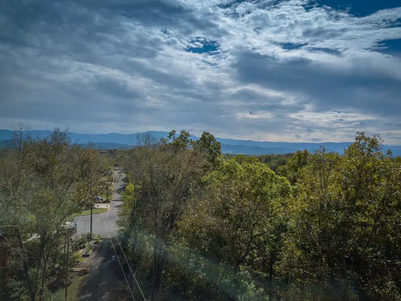 Antler Run arial view