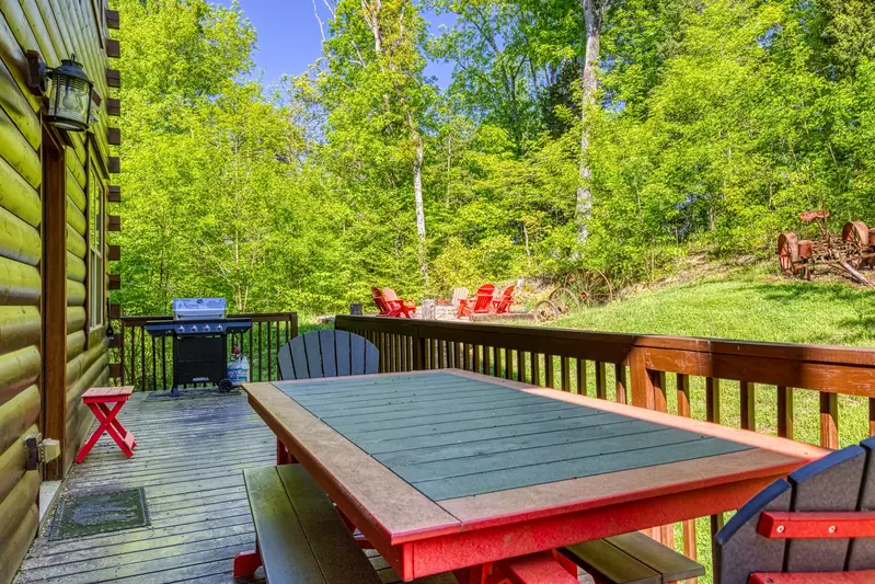 Antler Run back deck with picnic table