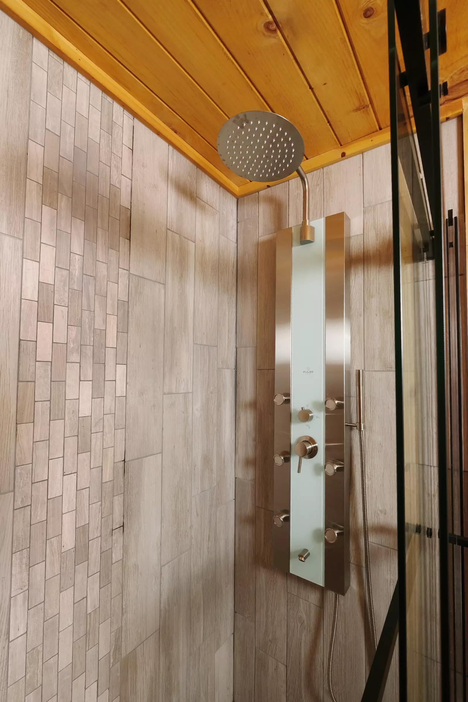 Bearadise Mountain Lodge spa shower