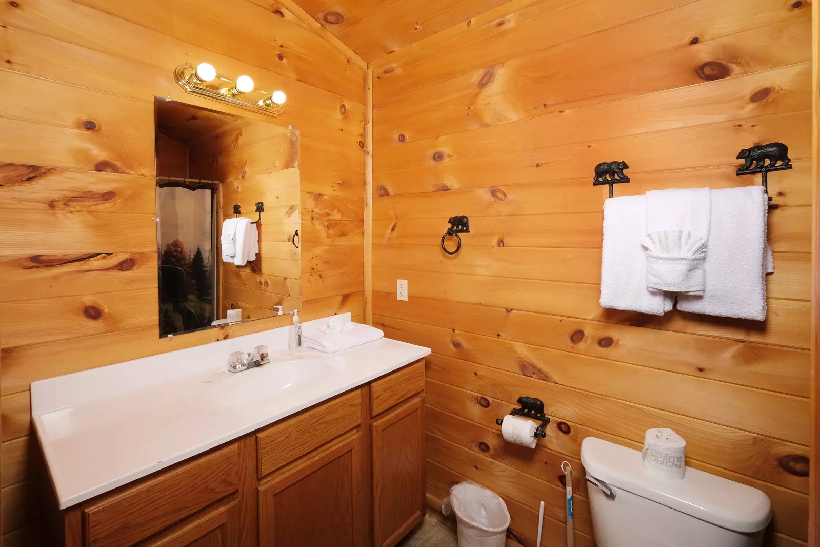 Bearadise Mountain Lodge bathroom