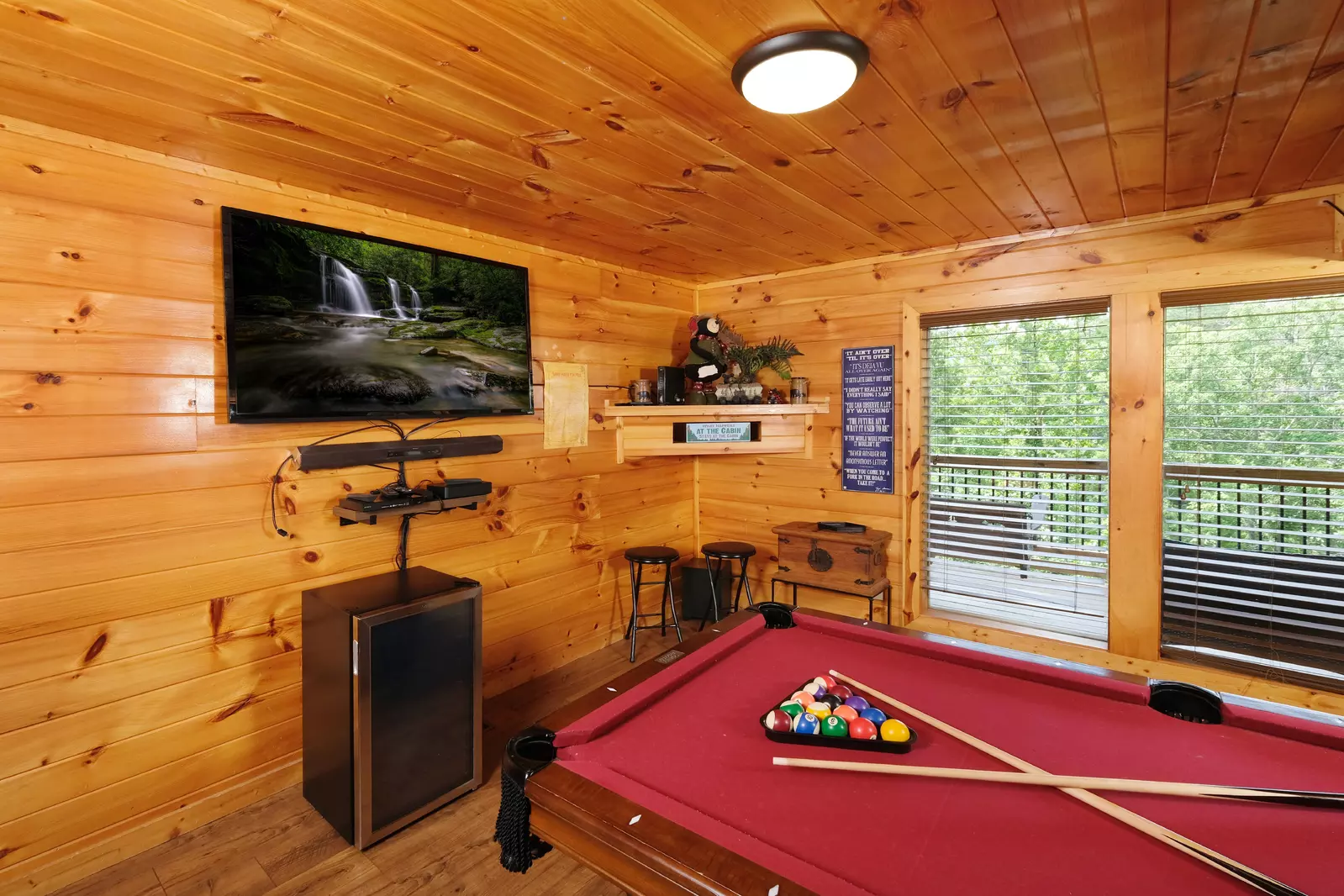 Bearadise Mountain Lodge theater room