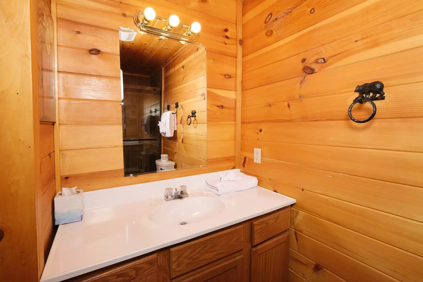 Bearadise Mountain Lodge bathroom