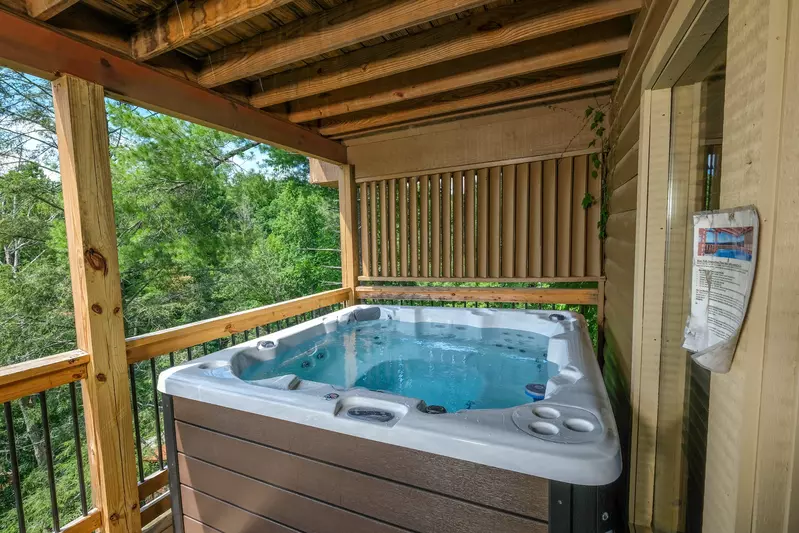 Bearadise Mountain Lodge hot tub