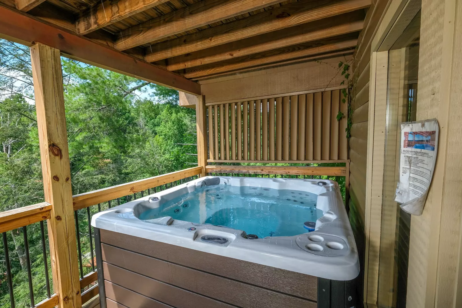 Bearadise Mountain Lodge hot tub